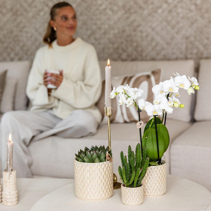 Vaso Di Perle Di Diamanti In Travertino