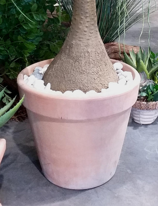 Vaso In Terracotta Graffiato Ø36Cm Resistente Al Gelo