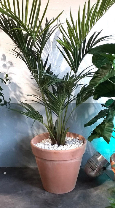 Vaso In Terracotta Graffiato Ø.53 Cm Per Piante