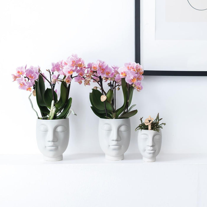 Vaso In Ceramica Bianca Face-2-Face