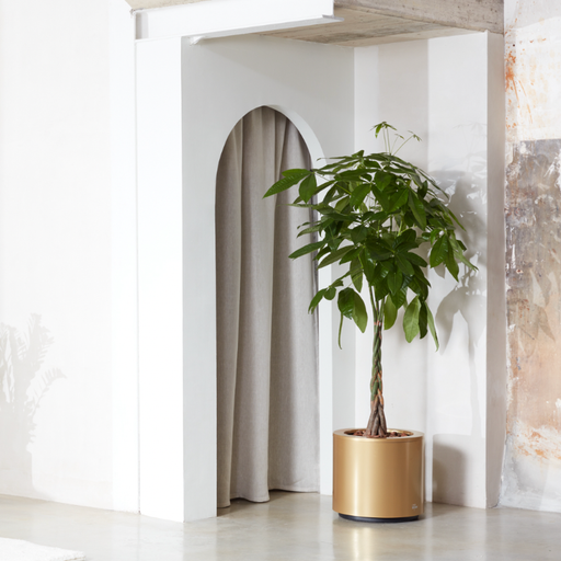 Pentola Kava Rotonda