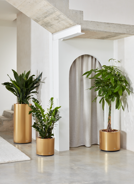 Pentola Kava Rotonda