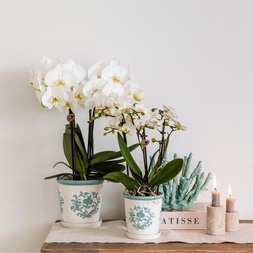 Vaso Malaga - Turchese