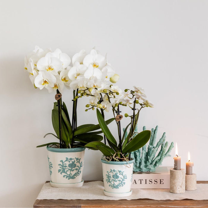 Vaso Malaga - Turchese