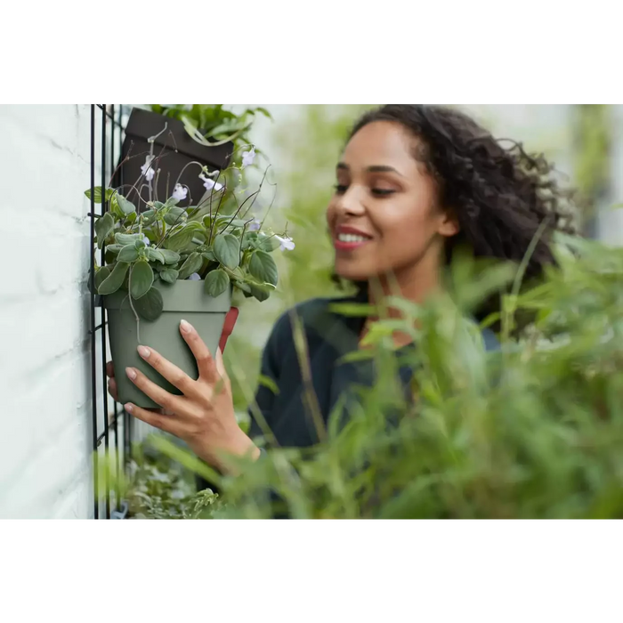 Vaso Da Parete In Plastica Wall Duo (X10)