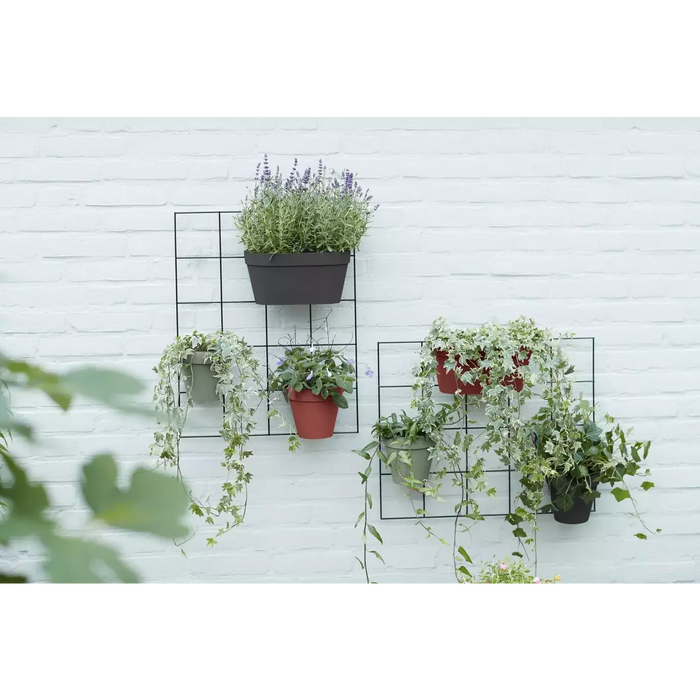 Vaso Da Parete In Plastica Wall Duo (X10)