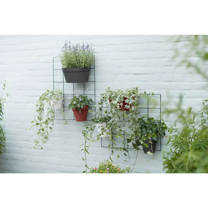 Vaso Da Parete In Plastica Wall Duo (X10)