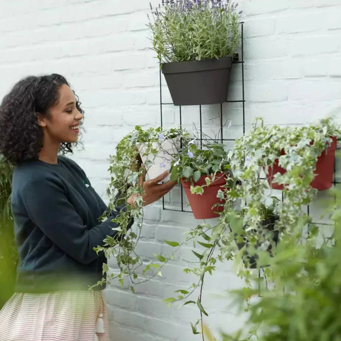 Vaso Da Parete In Plastica Wall Duo (X10)