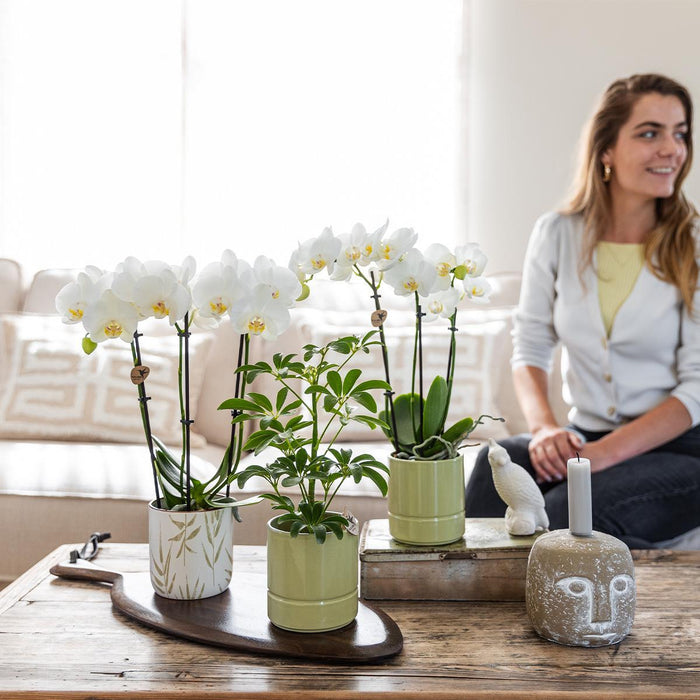 Vaso Verde Pastello Morbido - Stile Elegante