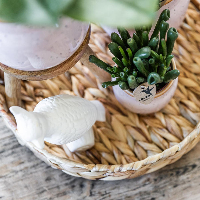 Vaso Pastello Rosa Tenue