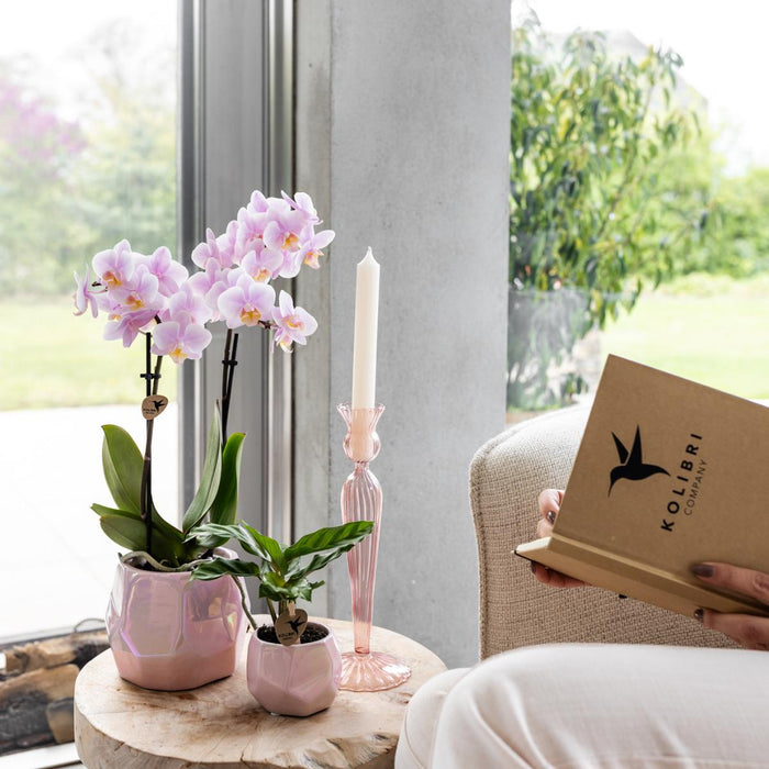 Vaso Di Perle - Rosa - Radianza Interiore