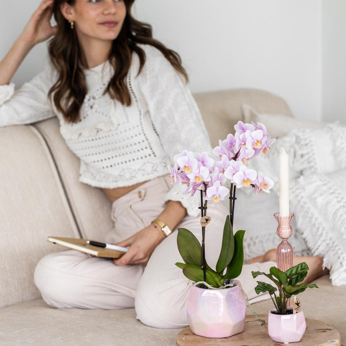 Vaso Di Perle - Rosa - Radianza Interiore