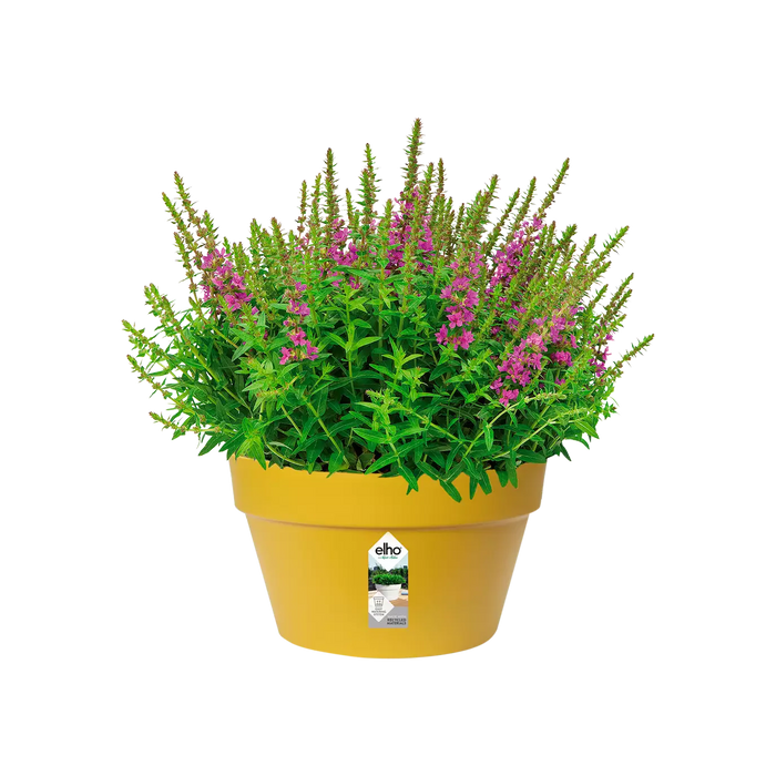 Vaso Per Piante In Plastica Per Interni Loft Urban (X5)