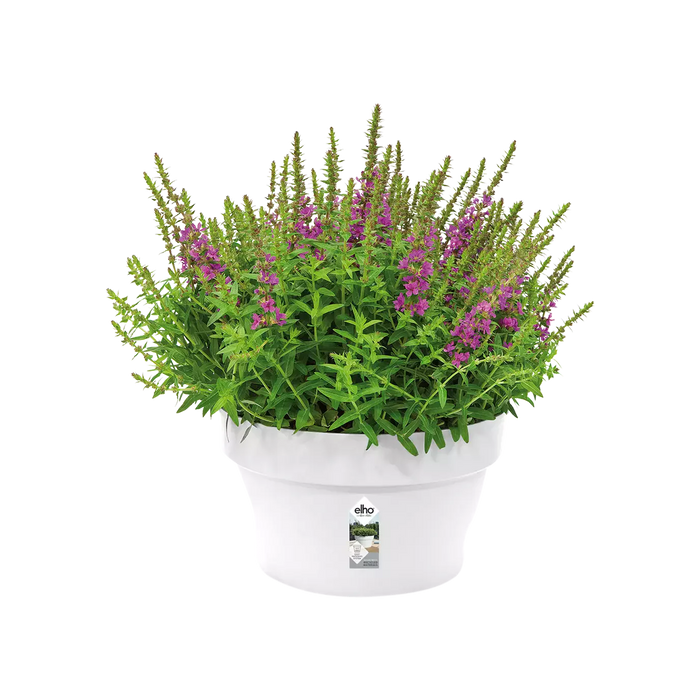 Vaso Per Piante In Plastica Per Interni Loft Urban (X5)