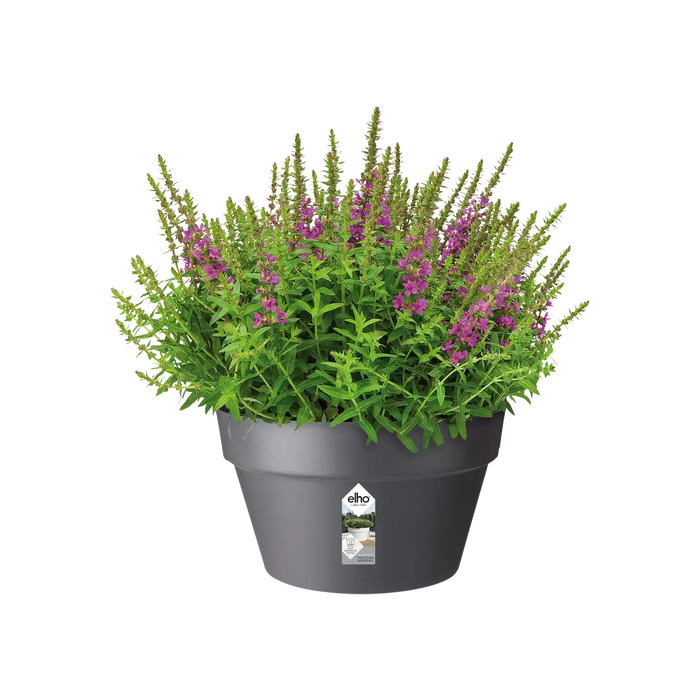 Vaso Per Piante In Plastica Per Interni Loft Urban (X5)