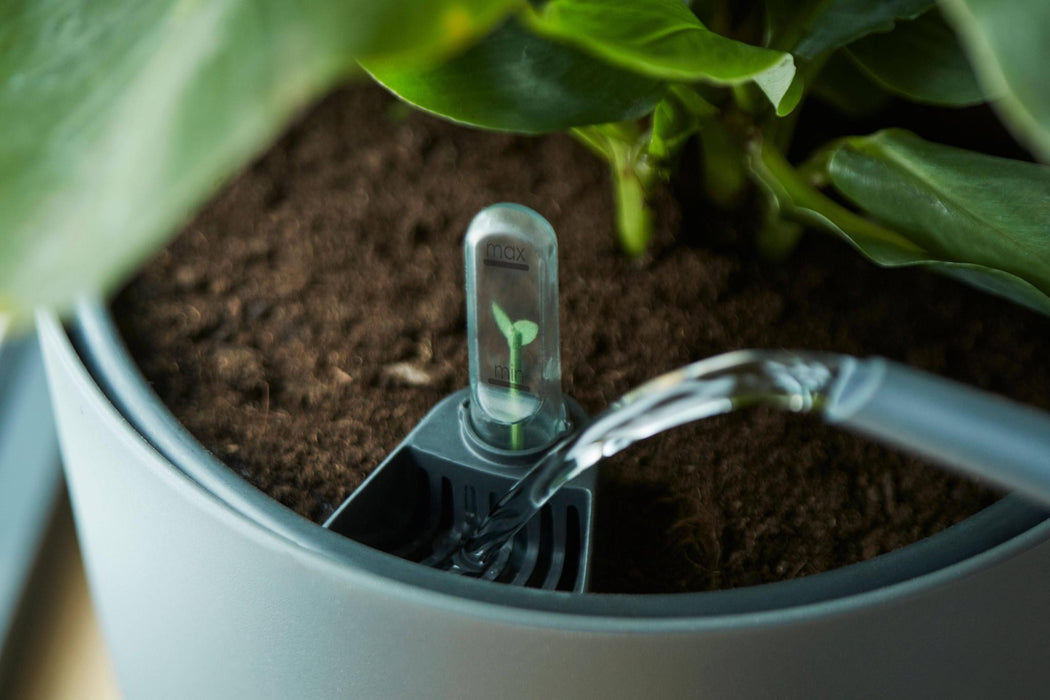 Vaso Serbatoio Acqua Nera D33Cm