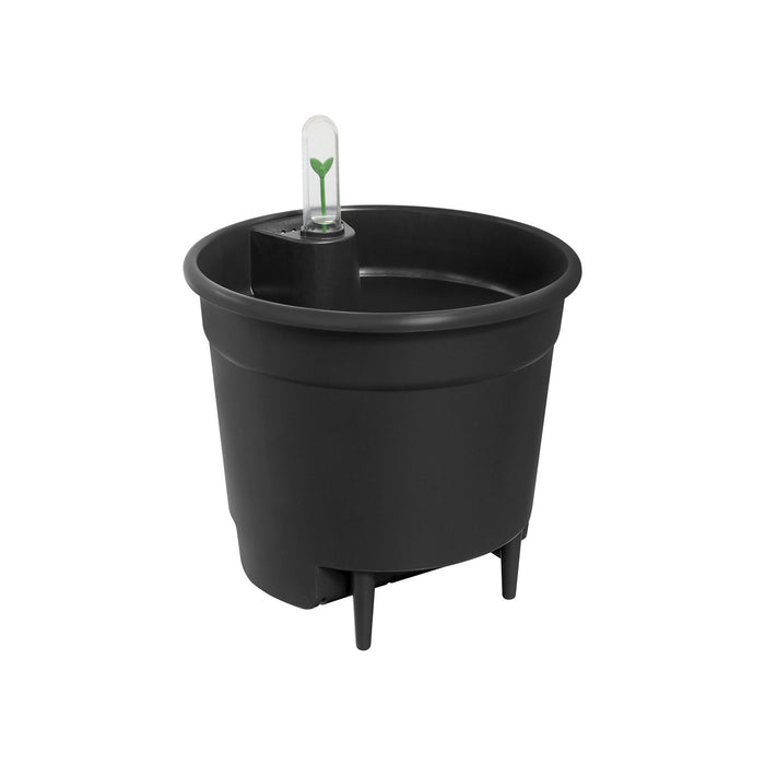 Vaso Serbatoio Acqua Nera D33Cm
