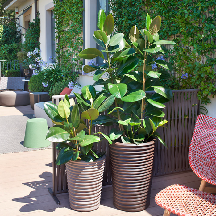 Vaso Striato Rotondo S-Pot