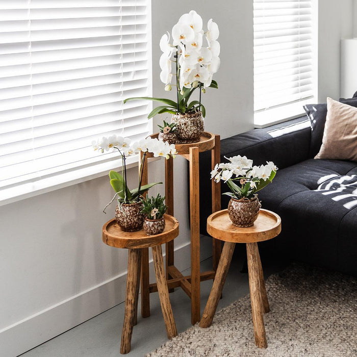 Vaso Safari Decorativo In Ceramica