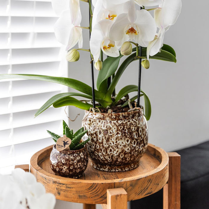 Vaso Safari In Ceramica Fatto A Mano