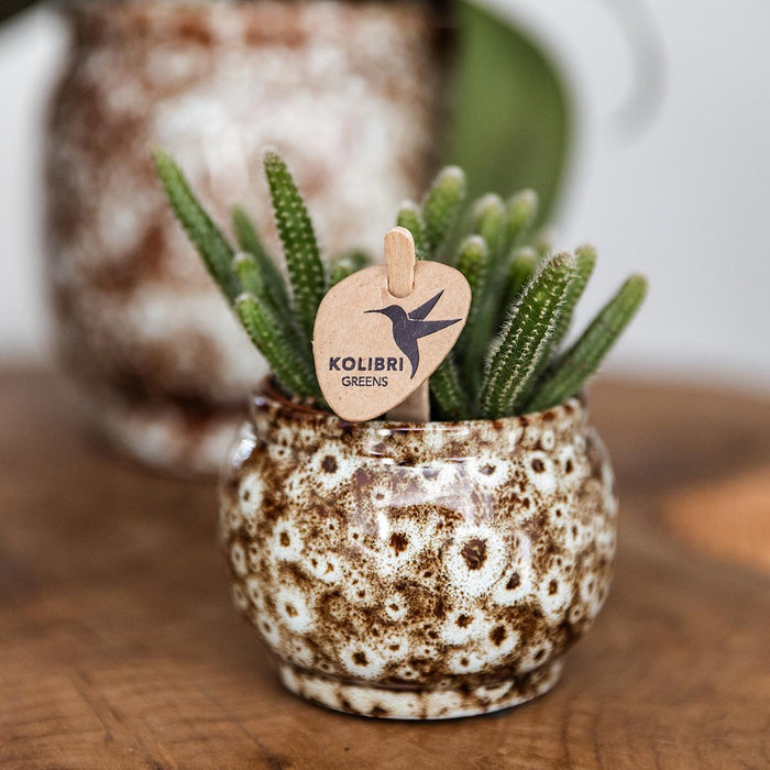 Vaso Safari In Ceramica Fatto A Mano