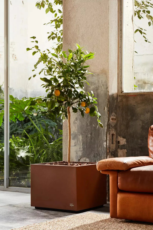 Vaso Oscillante Quadrato