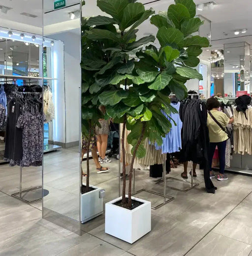 Vaso Urbano Quadrato