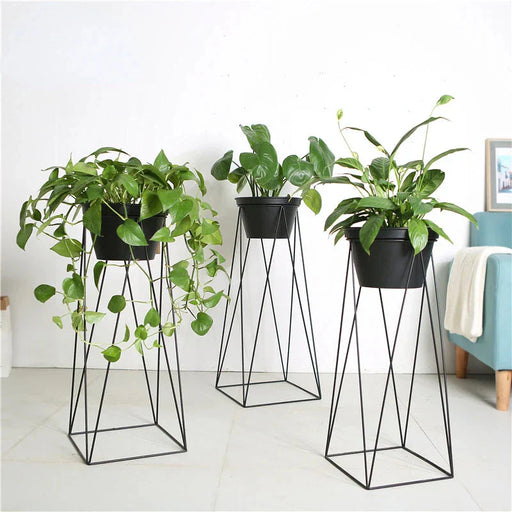 Vaso Vertigo Botanico