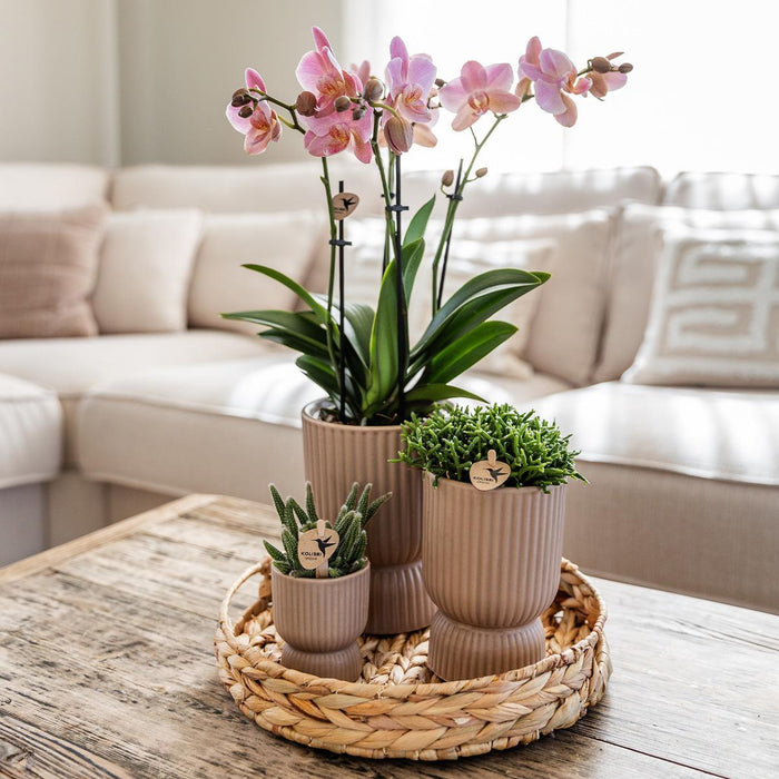 Vaso Decorativo Diabolo Sand