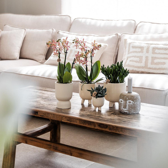 Vaso Decorativo In Travertino Diabolo