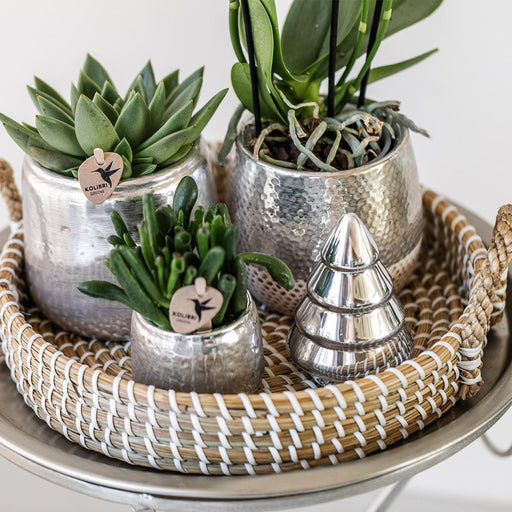 Vaso Decorativo Elite In Argento Lucido