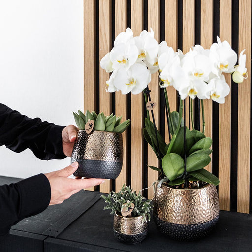 Vaso Decorativo In Rame Elite