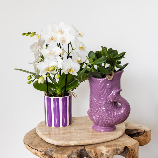 Vaso Decorativo A Forma Di Pesce - Lilla