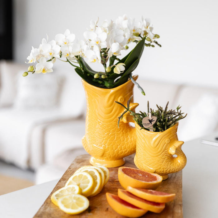 Vaso Decorativo Con Pesce In Ceramica Arancione