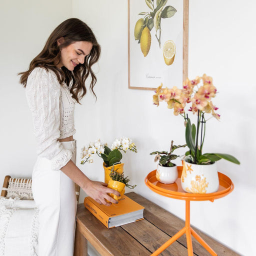 Vaso Decorativo Per Pesci - Giallo