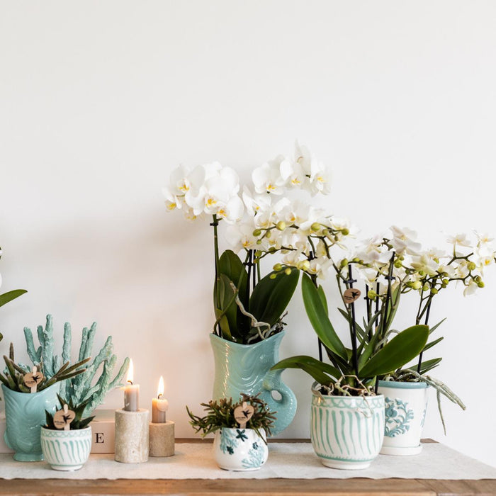 Vaso Decorativo Granada - Turchese