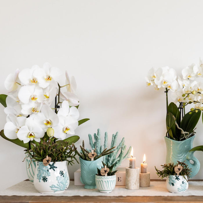 Vaso Decorativo Granada - Turchese
