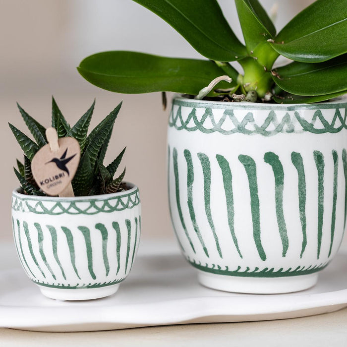 Vaso Decorativo Granada - Verde