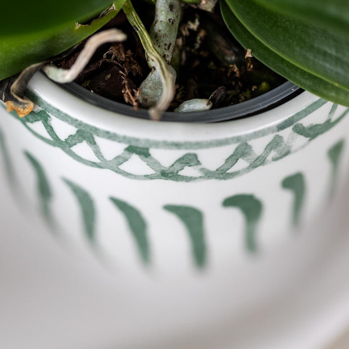 Vaso Decorativo Granada - Verde