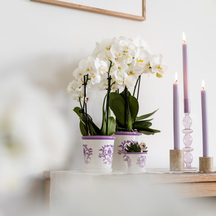 Vaso Decorativo Malaga Lilla