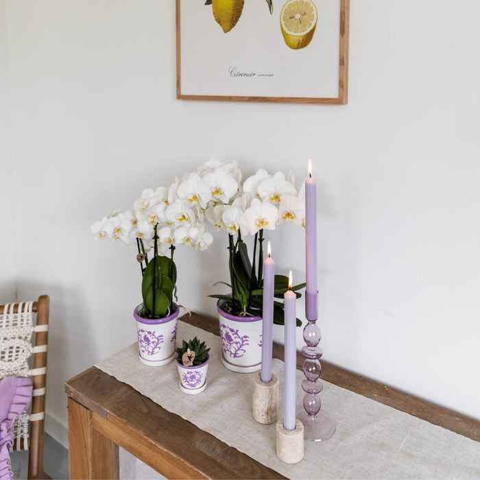 Vaso Decorativo Malaga Lilla