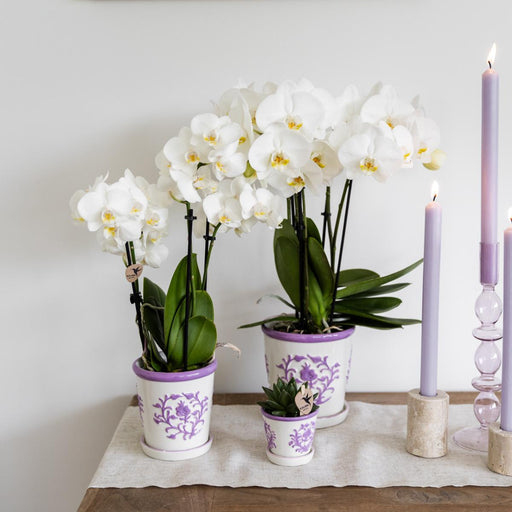 Vaso Decorativo Malaga Lilla