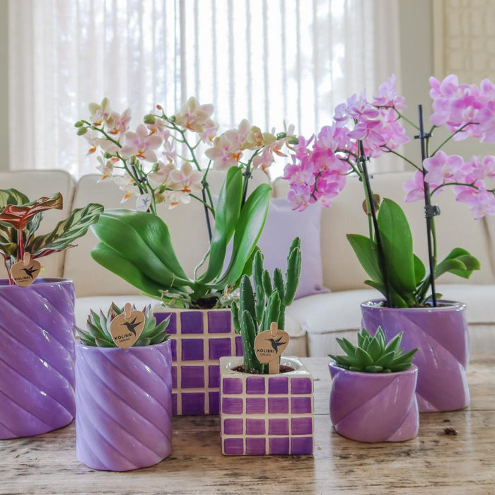 Vaso Decorativo Mosa - Lilla