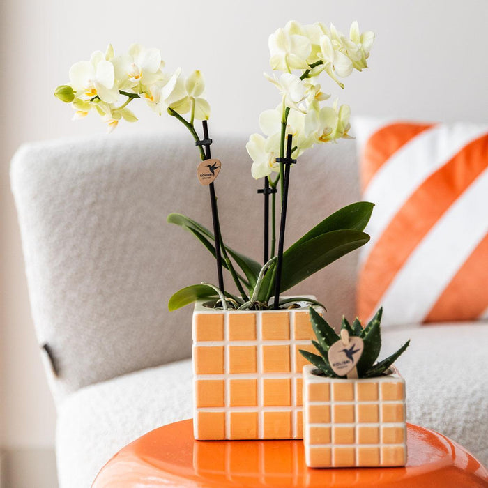 Vaso Decorativo Mosa - Arancione