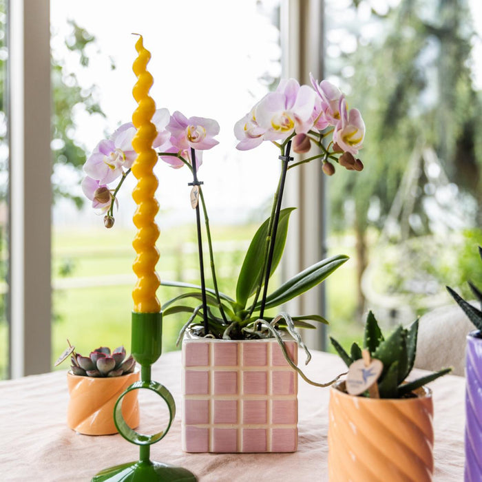 Vaso Decorativo Mosa Rosa