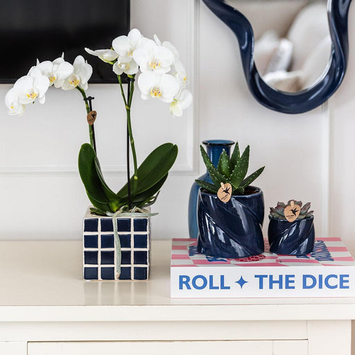 Vaso Decorativo Mosa Blu