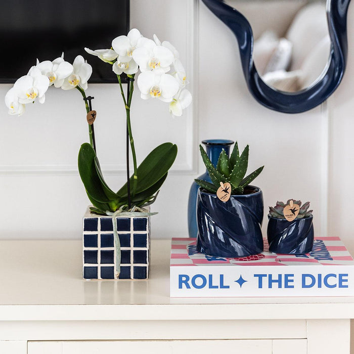 Vaso Decorativo Mosa Blu