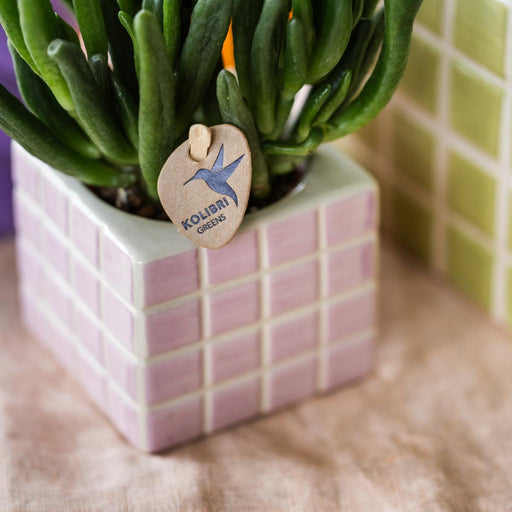 Vaso Decorativo Mosa Rosa