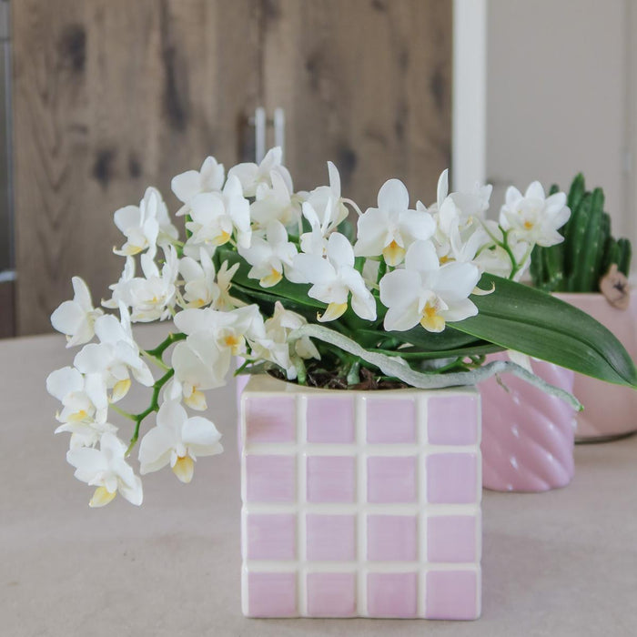 Vaso Decorativo Mosa Rosa