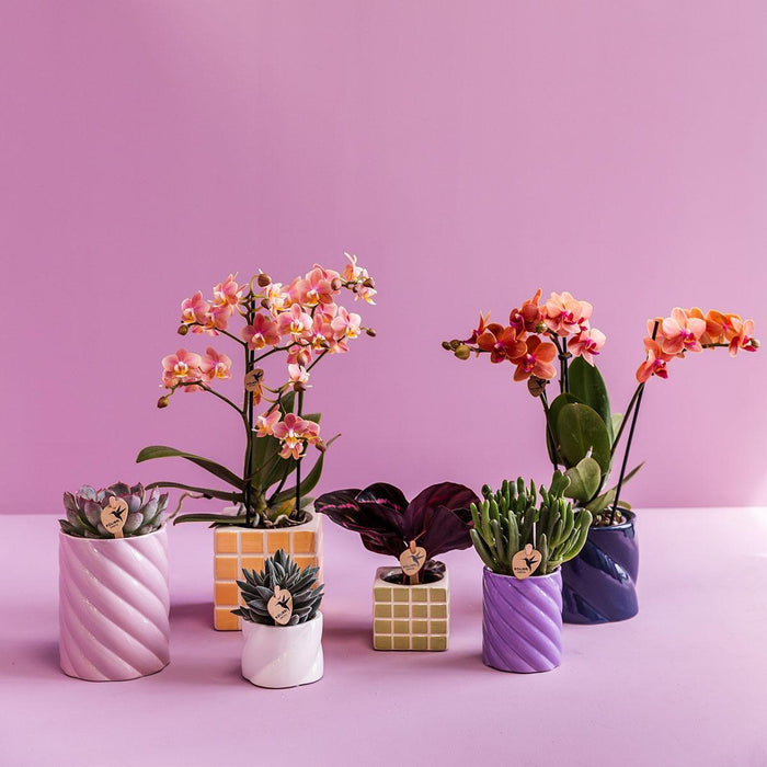 Vaso Decorativo Mosa Green